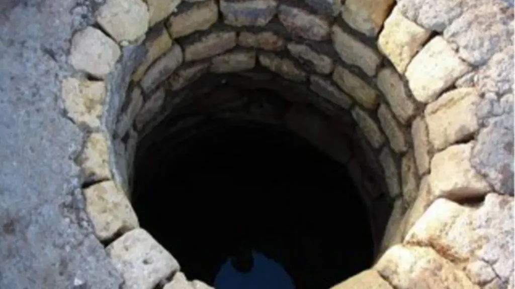 طوقه چینی