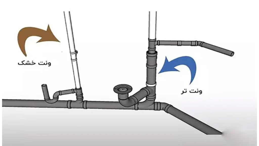 فول ونت